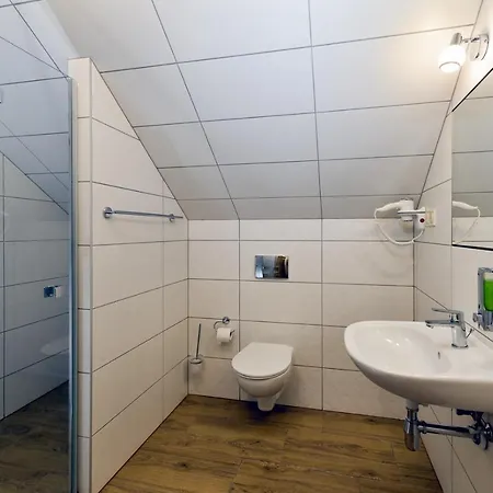 Apart-hotel Dworek Staropolski 2*